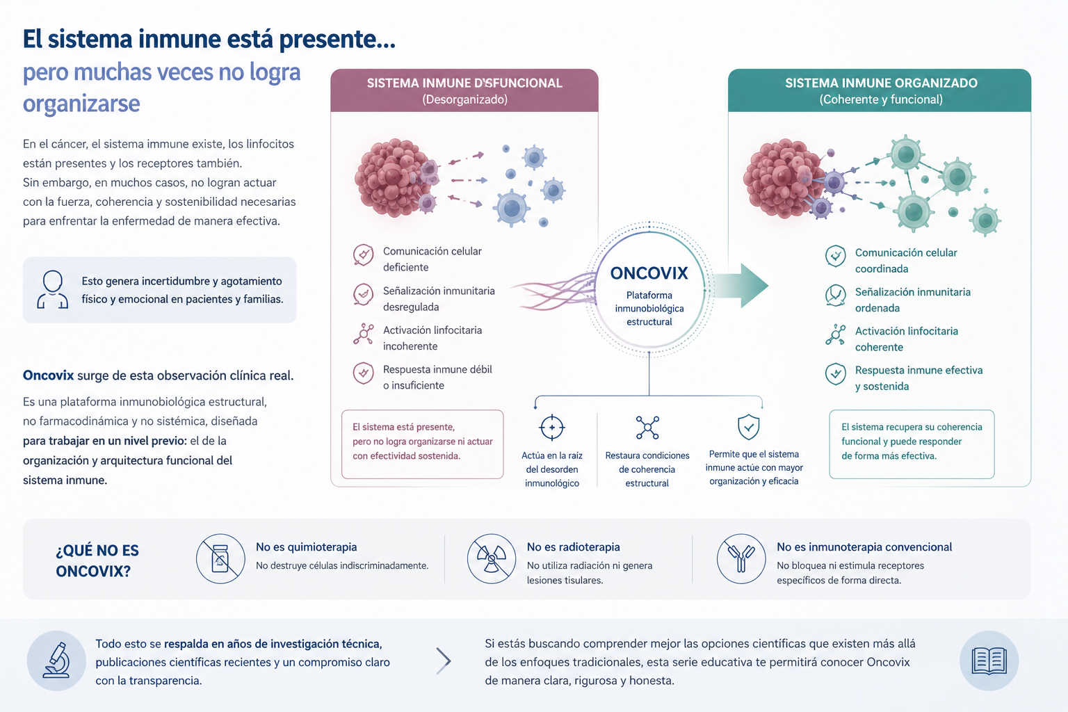 Sistema Inmune Organización